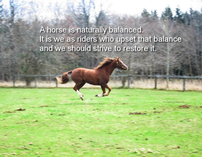 a horse is naturally balanced